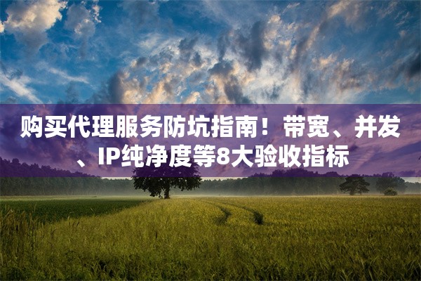 购买代理服务防坑指南！带宽、并发、IP纯净度等8大验收指标
