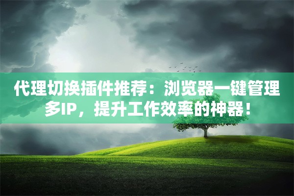 代理切换插件推荐：浏览器一键管理多IP，提升工作效率的神器！
