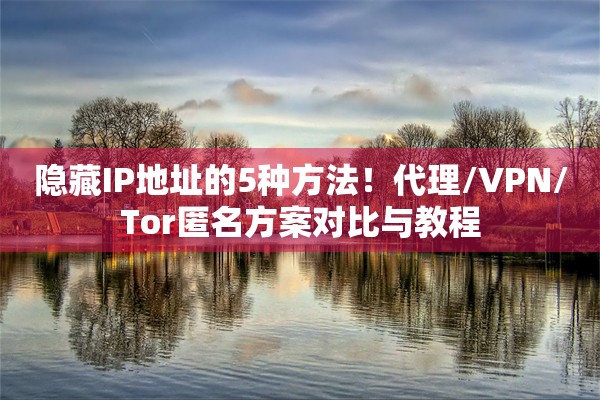 隐藏IP地址的5种方法！代理/VPN/Tor匿名方案对比与教程