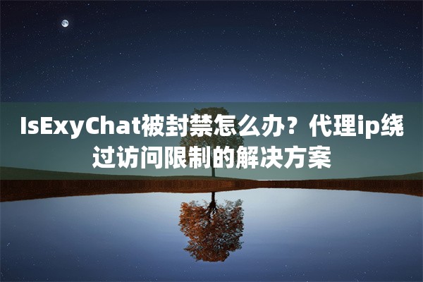 IsExyChat被封禁怎么办？代理ip绕过访问限制的解决方案