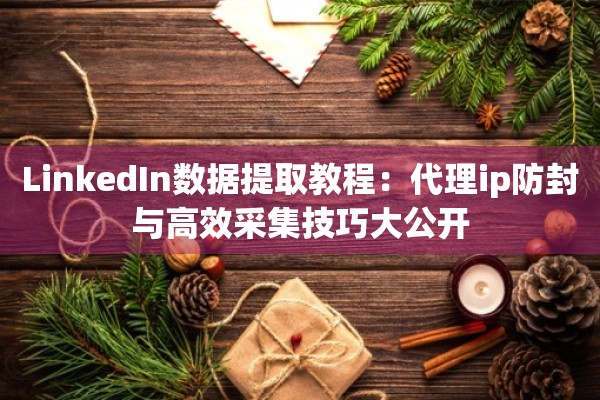 LinkedIn数据提取教程：代理ip防封与高效采集技巧大公开