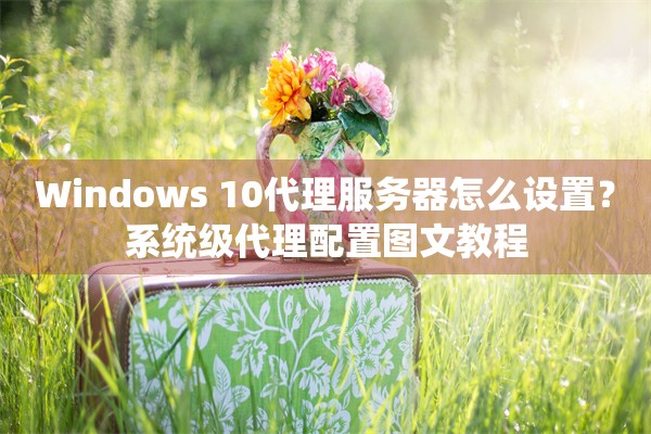 Windows 10代理服务器怎么设置？系统级代理配置图文教程