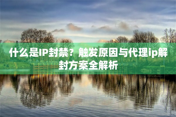 什么是IP封禁？触发原因与代理ip解封方案全解析