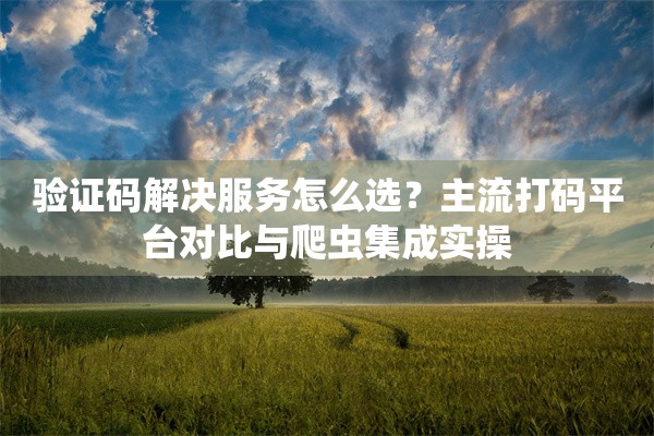 验证码解决服务怎么选？主流打码平台对比与爬虫集成实操