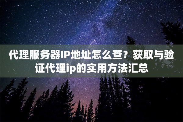 代理服务器IP地址怎么查？获取与验证代理ip的实用方法汇总