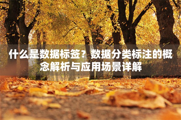 什么是数据标签？数据分类标注的概念解析与应用场景详解