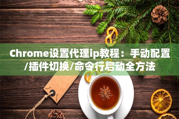 Chrome设置代理ip教程：手动配置/插件切换/命令行启动全方法