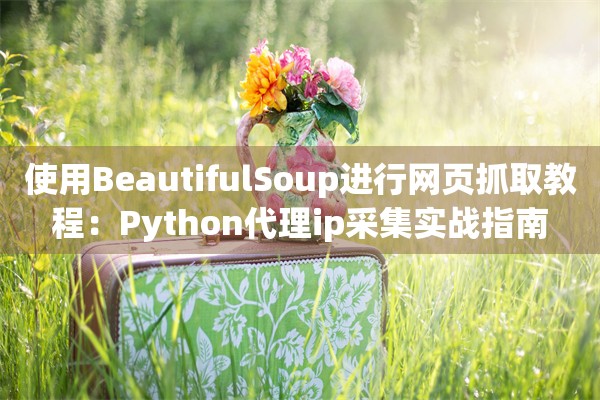 使用BeautifulSoup进行网页抓取教程：Python代理ip采集实战指南
