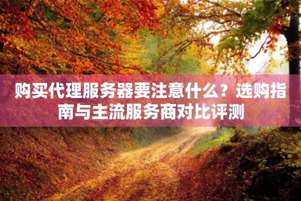 购买代理服务器要注意什么？选购指南与主流服务商对比评测