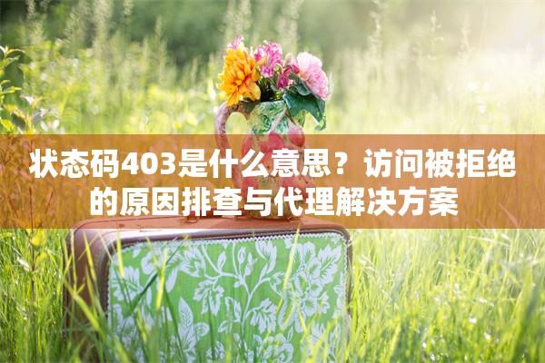 状态码403是什么意思？访问被拒绝的原因排查与代理解决方案