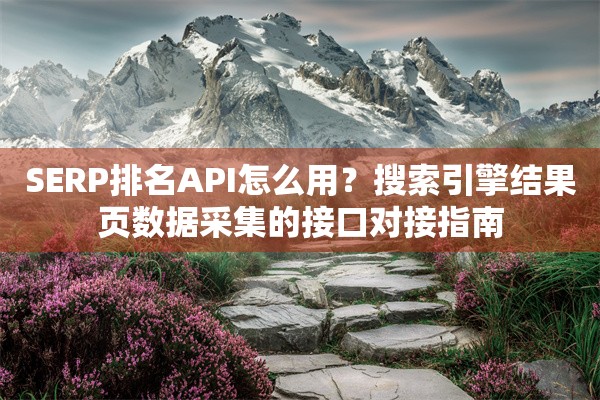 SERP排名API怎么用？搜索引擎结果页数据采集的接口对接指南