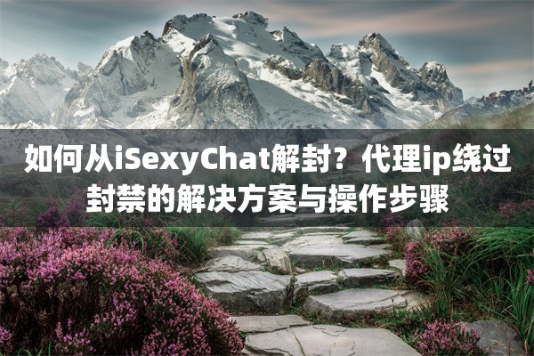 如何从iSexyChat解封?代理ip绕过封禁的解决方案与操作步骤
