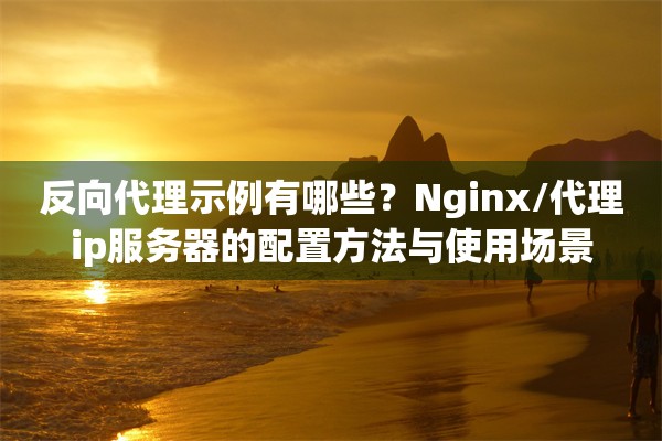 反向代理示例有哪些？Nginx/代理ip服务器的配置方法与使用场景