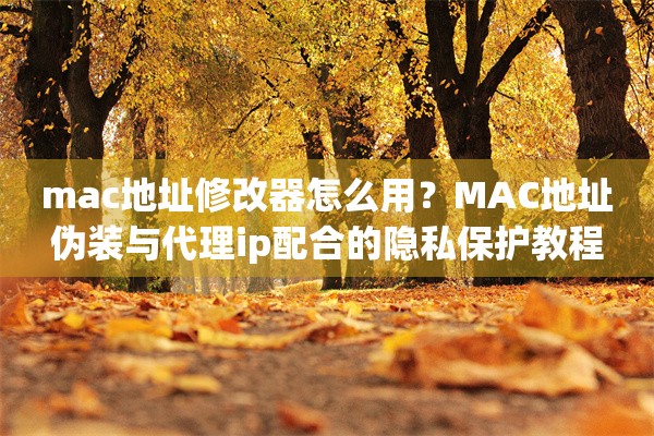 mac地址修改器怎么用？MAC地址伪装与代理ip配合的隐私保护教程