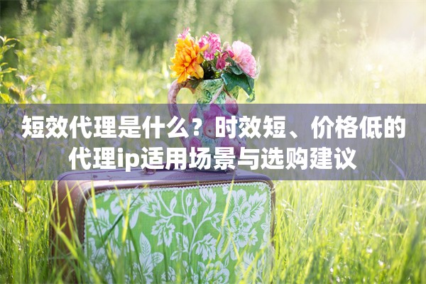 短效代理是什么?时效短、价格低的代理ip适用场景与选购建议