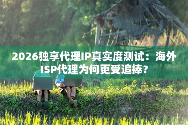 2026独享代理IP真实度测试：海外ISP代理为何更受追捧？