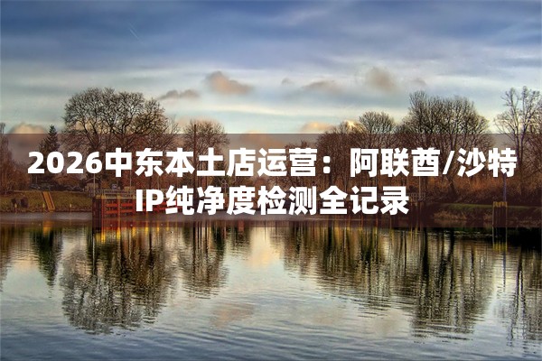 2026中东本土店运营：阿联酋/沙特IP纯净度检测全记录