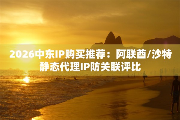 2026中东IP购买推荐：阿联酋/沙特静态代理IP防关联评比