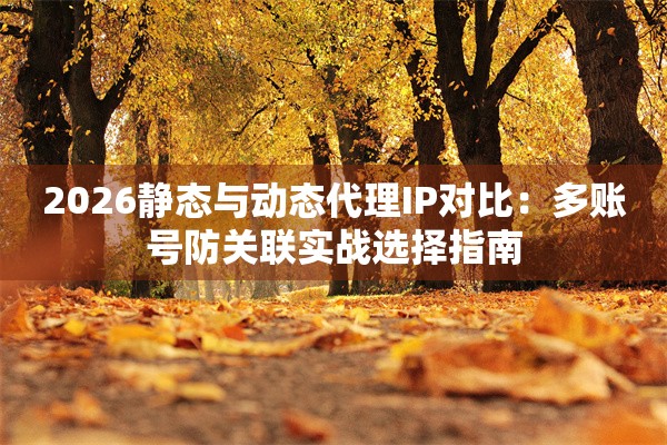 2026静态与动态代理IP对比：多账号防关联实战选择指南