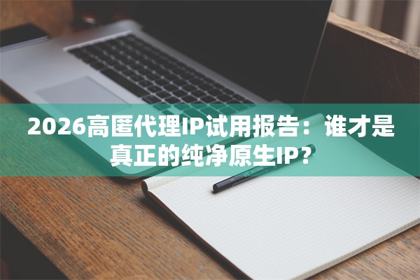 2026高匿代理IP试用报告：谁才是真正的纯净原生IP？