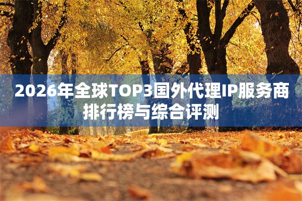 2026年全球TOP3国外代理IP服务商排行榜与综合评测