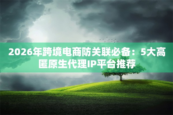 2026年跨境电商防关联必备：5大高匿原生代理IP平台推荐