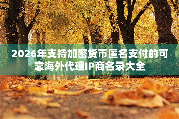 2026年支持加密货币匿名支付的可靠海外代理IP商名录大全