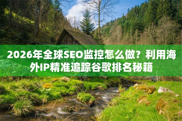 2026年全球SEO监控怎么做？利用海外IP精准追踪谷歌排名秘籍