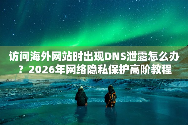 访问海外网站时出现DNS泄露怎么办？2026年网络隐私保护高阶教程
