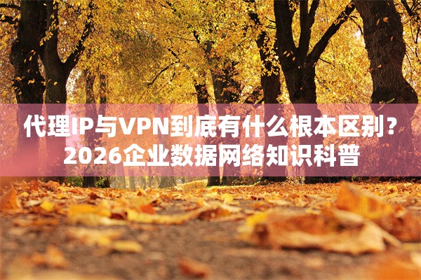代理IP与VPN到底有什么根本区别？2026企业数据网络知识科普