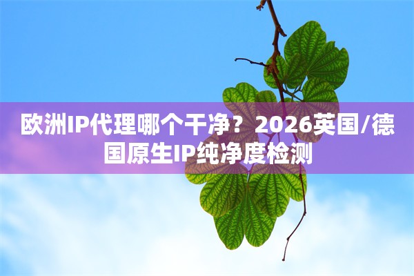 欧洲IP代理哪个干净？2026英国/德国原生IP纯净度检测