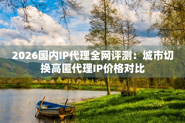 2026国内IP代理全网评测：城市切换高匿代理IP价格对比