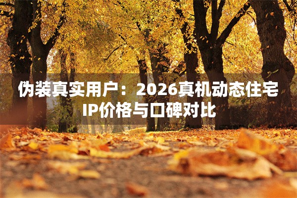 伪装真实用户：2026真机动态住宅IP价格与口碑对比