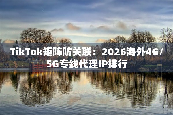TikTok矩阵防关联：2026海外4G/5G专线代理IP排行