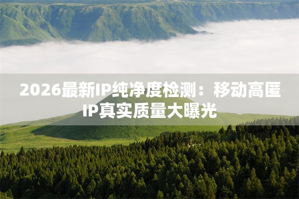 2026最新IP纯净度检测：移动高匿IP真实质量大曝光