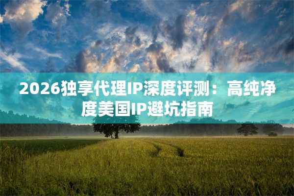 2026独享代理IP深度评测：高纯净度美国IP避坑指南