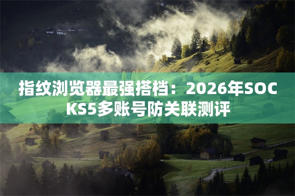 指纹浏览器最强搭档：2026年SOCKS5多账号防关联测评