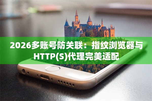 2026多账号防关联：指纹浏览器与HTTP(S)代理完美适配