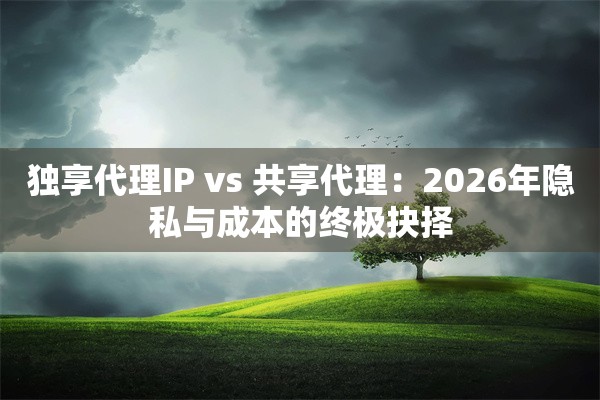 独享代理IP vs 共享代理：2026年隐私与成本的终极抉择