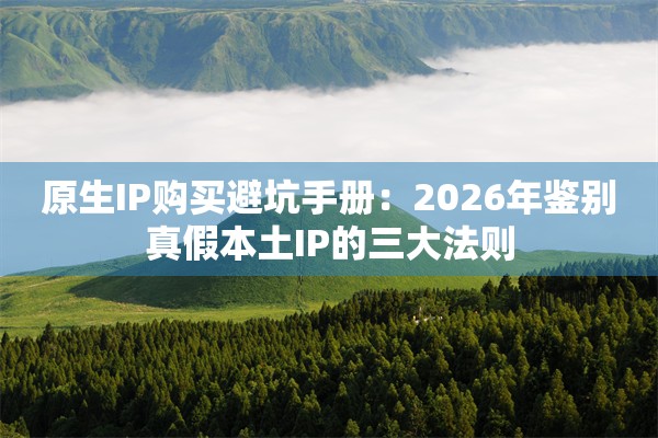 原生IP购买避坑手册：2026年鉴别真假本土IP的三大法则