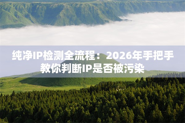 纯净IP检测全流程：2026年手把手教你判断IP是否被污染