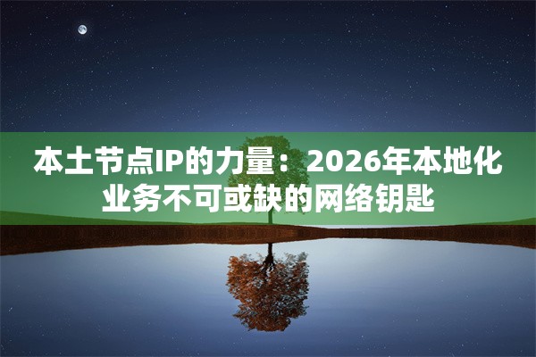本土节点IP的力量:2026年本地化业务不可或缺的网络钥匙