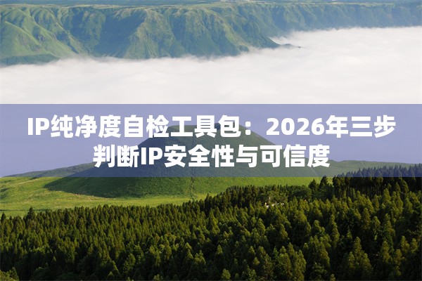IP纯净度自检工具包：2026年三步判断IP安全性与可信度