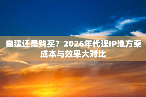 自建还是购买？2026年代理IP池方案成本与效果大对比