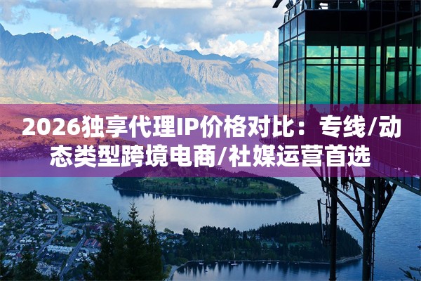 2026独享代理IP价格对比：专线/动态类型跨境电商/社媒运营首选