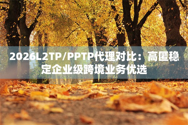 2026L2TP/PPTP代理对比：高匿稳定企业级跨境业务优选