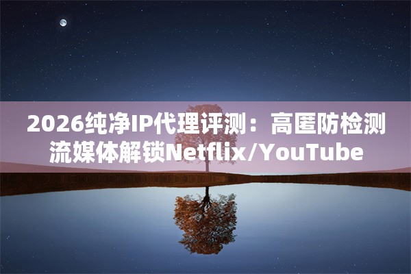 2026纯净IP代理评测：高匿防检测流媒体解锁Netflix/YouTube