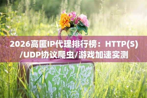 2026高匿IP代理排行榜：HTTP(S)/UDP协议爬虫/游戏加速实测