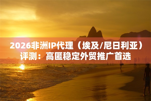 2026非洲IP代理(埃及/尼日利亚)评测:高匿稳定外贸推广首选