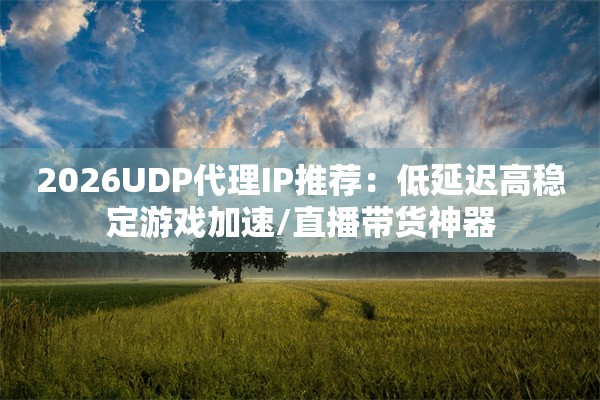 2026UDP代理IP推荐:低延迟高稳定游戏加速/直播带货神器